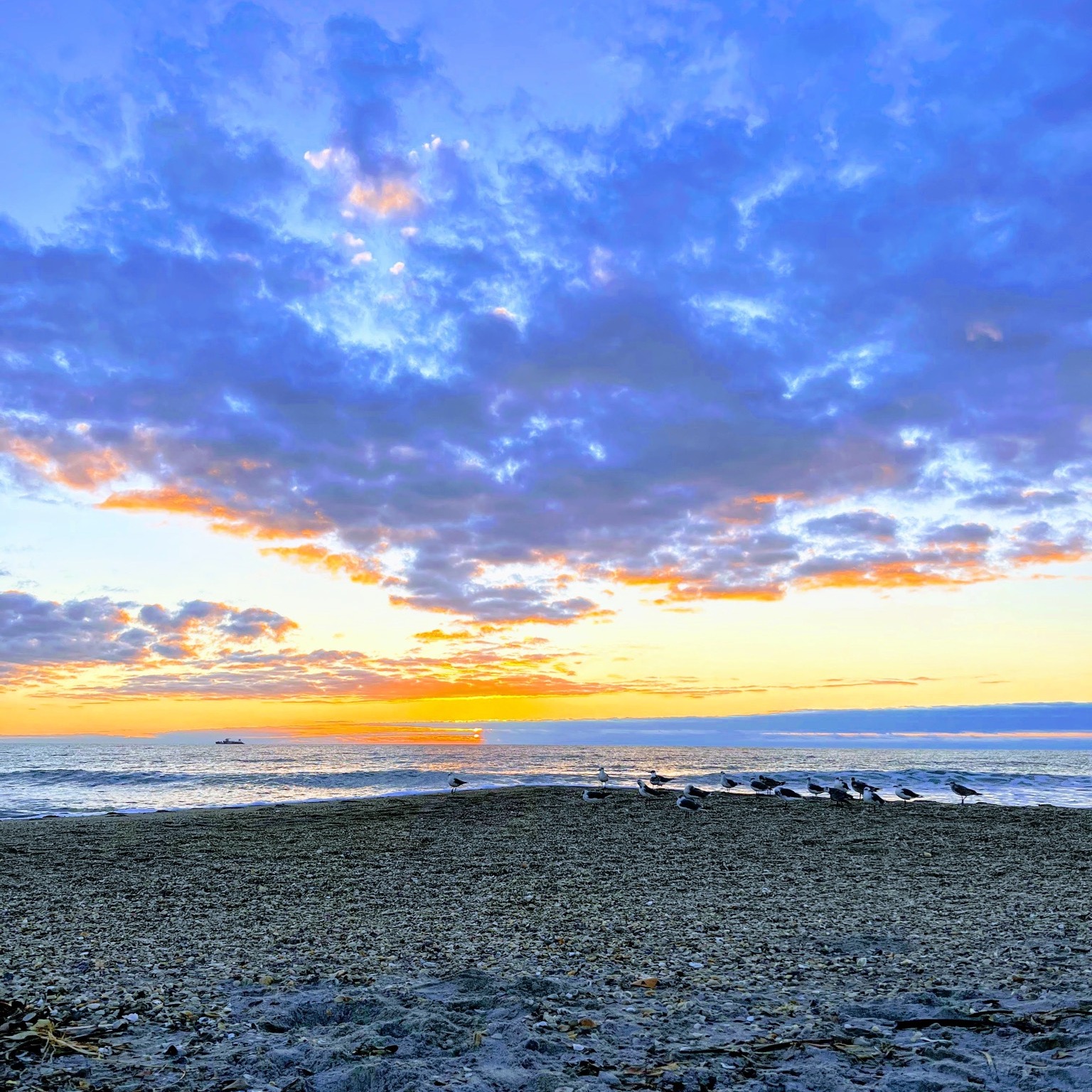 Golden sunrise with pelicans and ocean at Alan Shepard Park, FL.