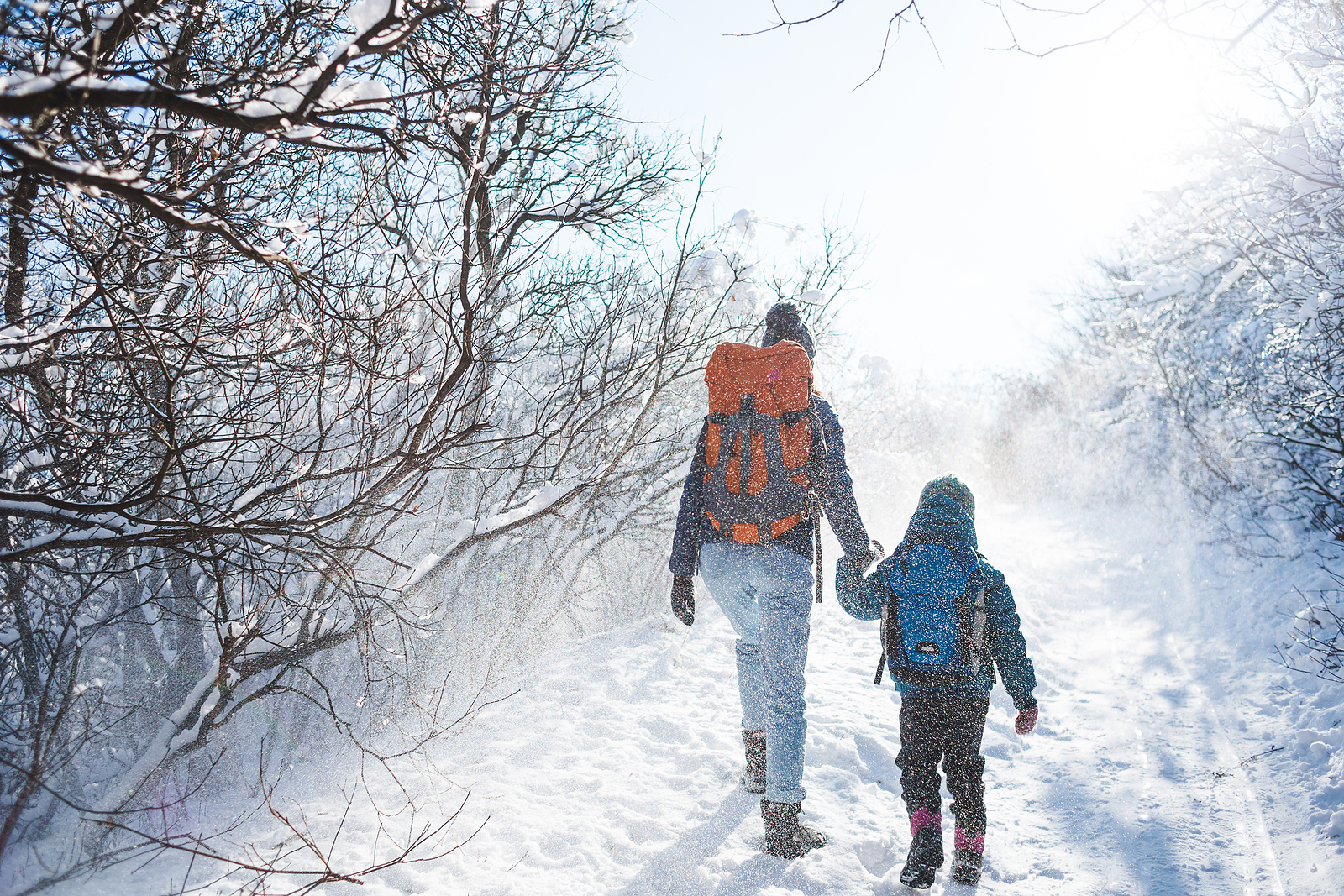 adult and child walking in the snow